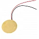 20mm Piezoelectric Ceramic Buzzer 20mm Piezoelectric Ceramic Buzzer