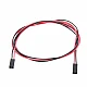 70cm 2 Pin Female to Female Dupont Cable for 3D Printer 70cm 2 Pin Female to Female Dupont Cable for 3D Printer