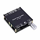 HIFI AUX TPA3116 XINYI Sini Audio 2*100W Digital Power Amplifier Board HIFI AUX TPA3116 XINYI Sini Audio 2*100W Digital Power Amplifier Board