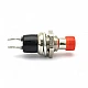 PBS-110 Push Button Switch Press Through - Red PBS-110 Push Button Switch Press Through - Red