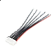 JST-XH 5S 10cm Balance Charge Wire for Li-Ion/Lipo Battery