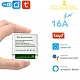 2 Channel Smart Wireless WIFI 16A Switch Work with Alexa , Smart life app, Google home and IFTTT