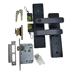 Tuya X2 Black Youth Edition Intellgent Lock(6v) for smart homes